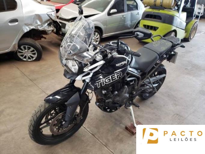 TRIUMPH TIGER 19/19